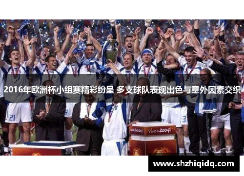 2016年欧洲杯小组赛精彩纷呈 多支球队表现出色与意外因素交织