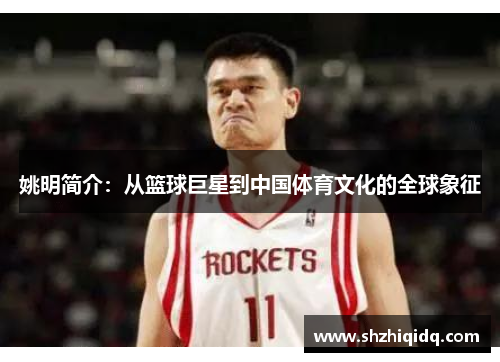姚明简介：从篮球巨星到中国体育文化的全球象征