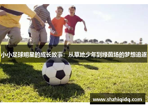 小小足球明星的成长故事：从草地少年到绿茵场的梦想追逐