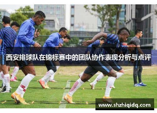 西安排球队在锦标赛中的团队协作表现分析与点评