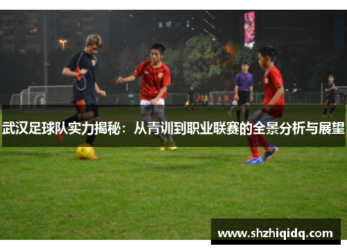 武汉足球队实力揭秘：从青训到职业联赛的全景分析与展望