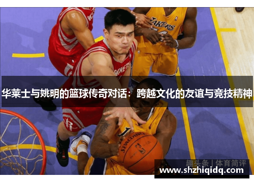 华莱士与姚明的篮球传奇对话：跨越文化的友谊与竞技精神