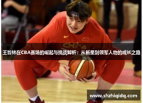 王哲林在CBA赛场的崛起与挑战解析：从新星到领军人物的成长之路