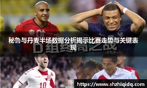 秘鲁与丹麦半场数据分析揭示比赛走势与关键表现